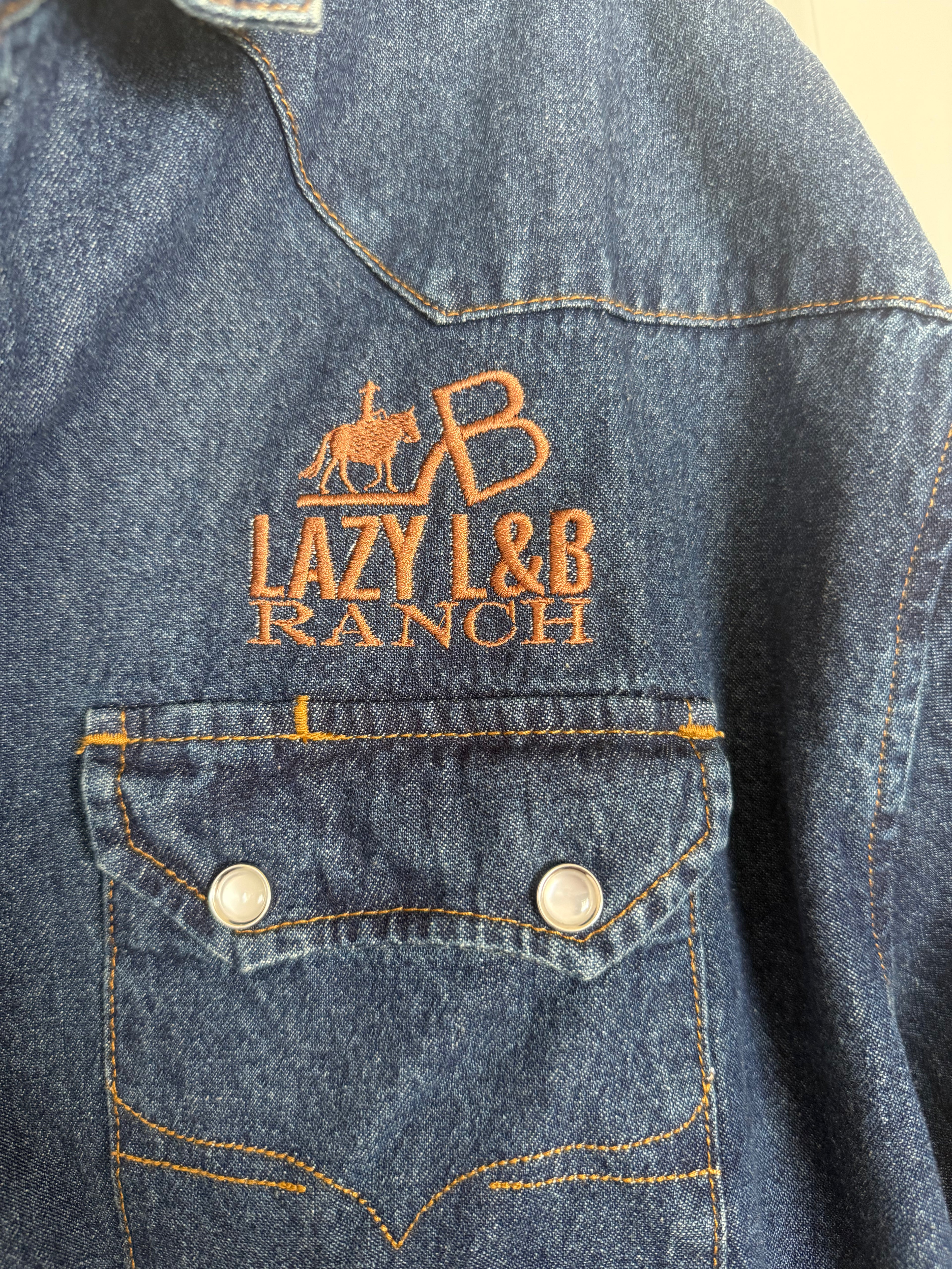 Men's Denim Pearl Snap